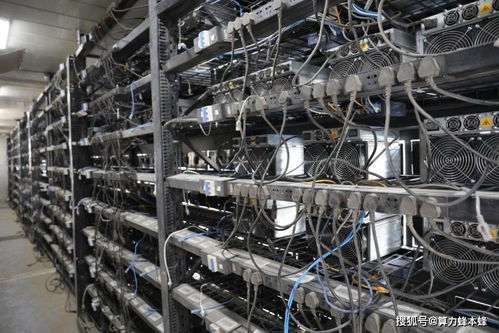 Mining rig setup