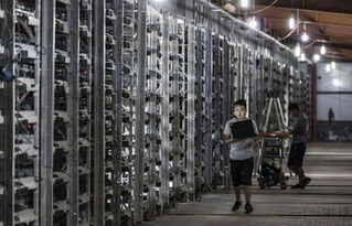 A well-maintained mining rig actively mining cryptocurrencies