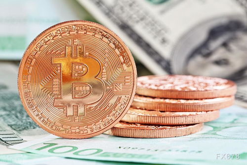 Bitcoin cryptocurrency