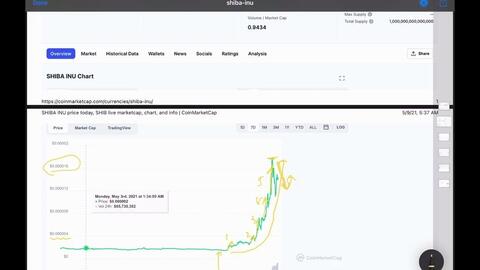 GPU rig dual mining Dogecoin and Litecoin in India